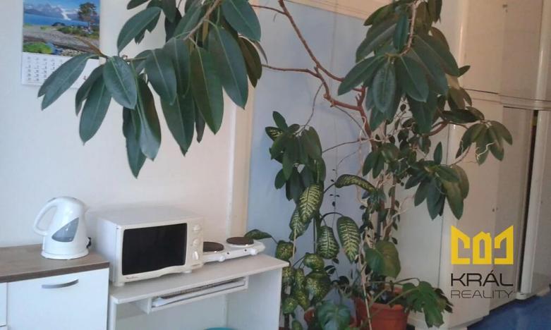 Pronájem pokoje, Praha - Karlín, Jirsíkova, 28 m2