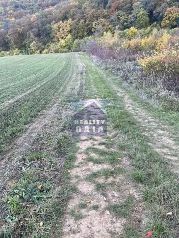 Prodej lesa, Ždánice, 3224 m2