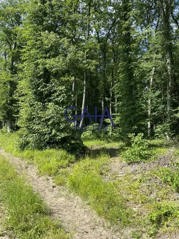 Prodej pozemku, Ždánice, 3224 m2