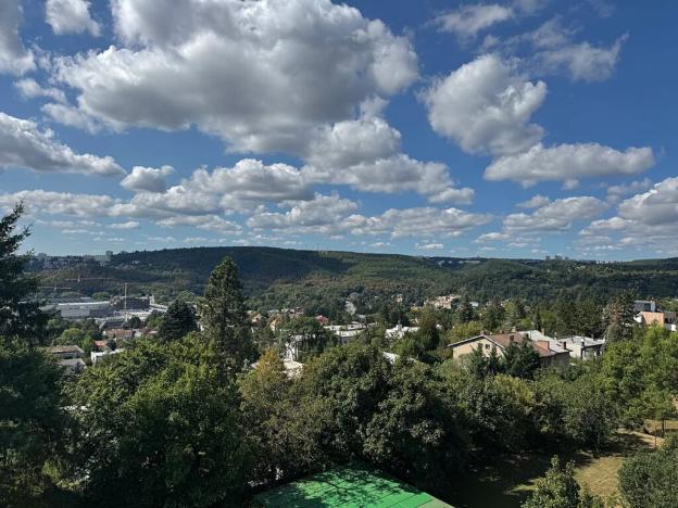 Prodej bytu 3+1, Brno, Bohuslava Martinů, 79 m2