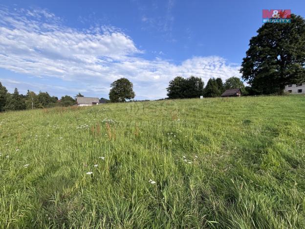 Prodej pozemku pro bydlení, České Petrovice, 3216 m2