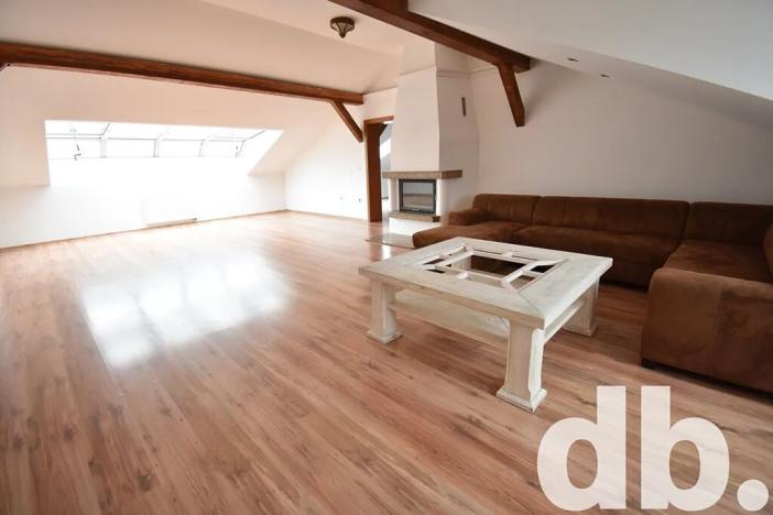 Pronájem bytu 4+kk, Karlovy Vary, Západní, 240 m2