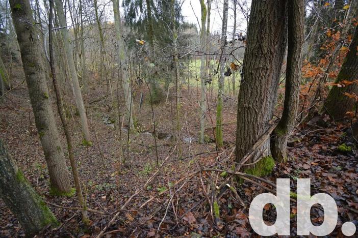 Prodej pozemku, Merklín, 3609 m2