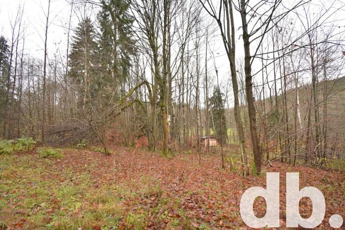 Prodej pozemku, Merklín, 3609 m2