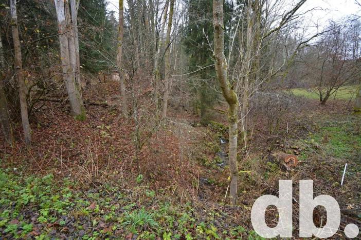 Prodej pozemku, Merklín, 3609 m2