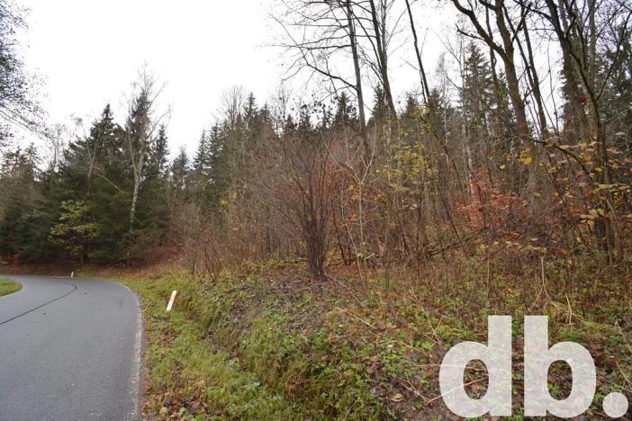 Prodej pozemku, Merklín, 3609 m2