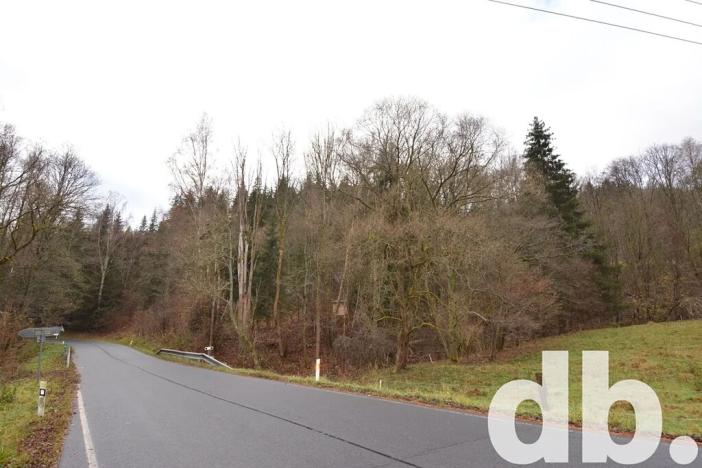 Prodej pozemku, Merklín, 3609 m2