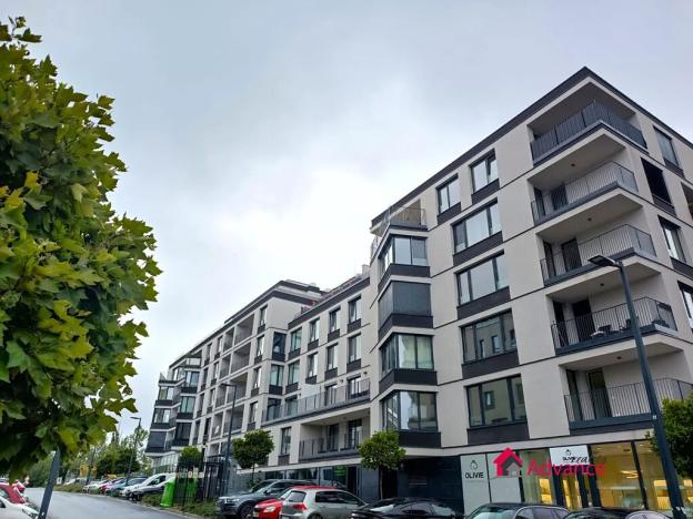 Pronájem bytu 1+kk, Ostrava, Důlní, 54 m2