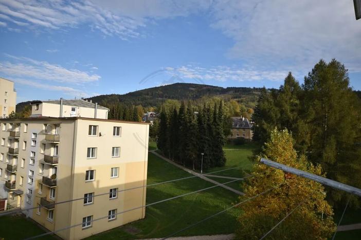 Prodej bytu 3+1, Jeseník, Bezručova, 75 m2