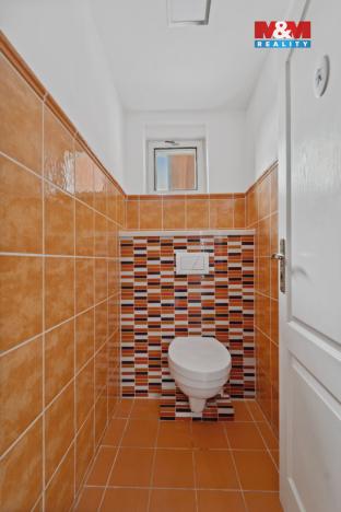 Prodej rodinného domu, Nechanice - Lubno, 238 m2