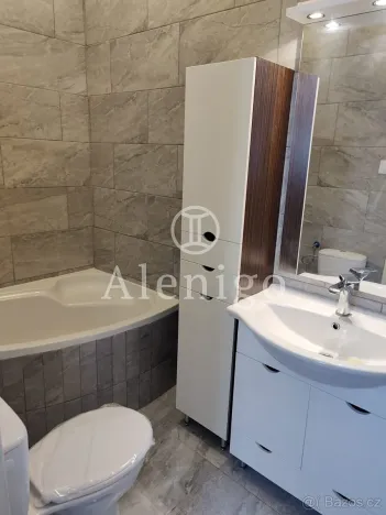 Prodej bytu 2+1, Praha - Žižkov, Baranova, 51 m2