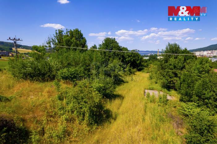 Pronájem zahrady, Malšovice, 8255 m2