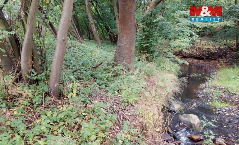 Prodej louky, Bystřice, 682 m2