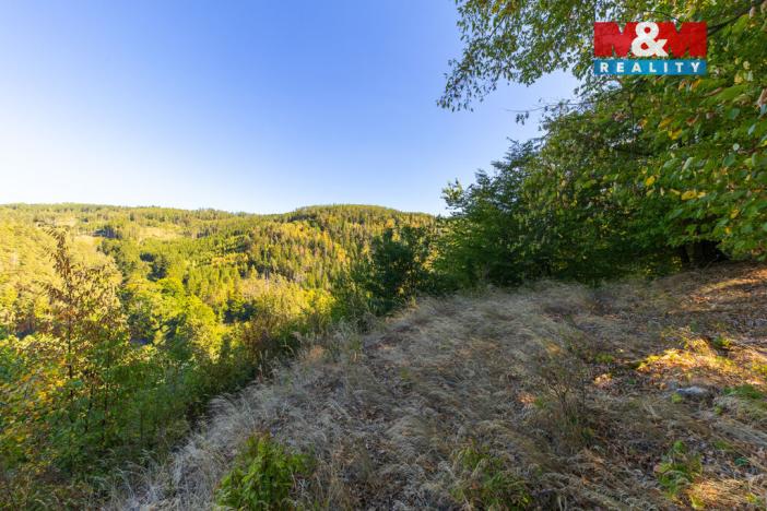 Prodej lesa, Lomnice, 7450 m2