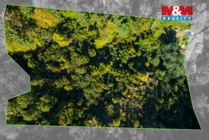 Prodej lesa, Lomnice, 7450 m2