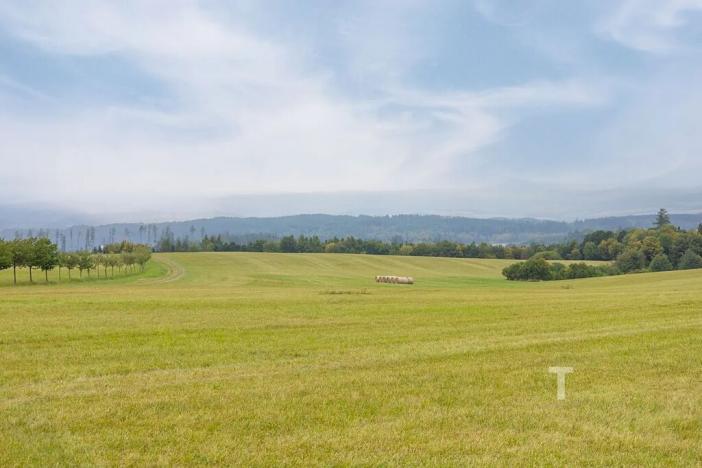 Prodej pozemku pro bydlení, Velenov, 12680 m2