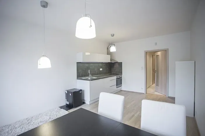 Pronájem bytu 1+kk, Praha - Žižkov, Olšanská, 35 m2