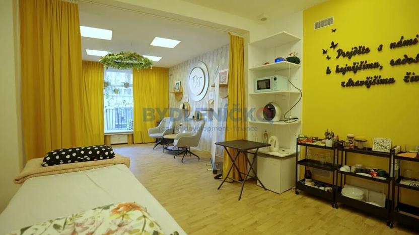 Prodej činžovního domu, České Budějovice, Hradební, 421 m2