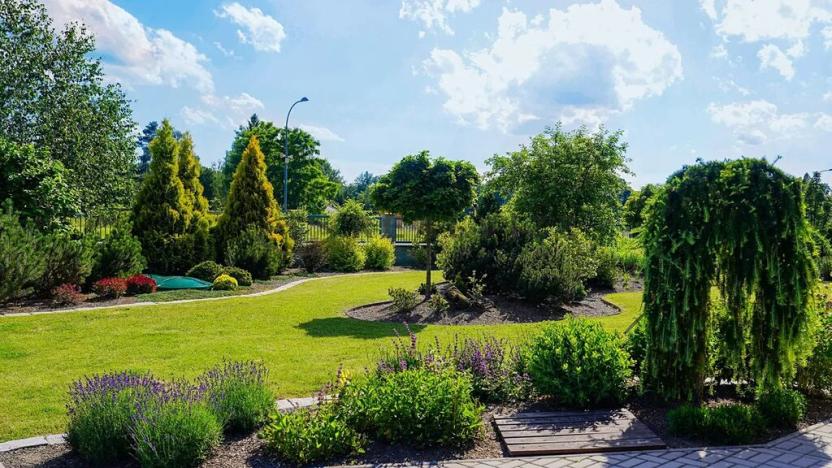 Prodej rodinného domu, Borovany, 237 m2