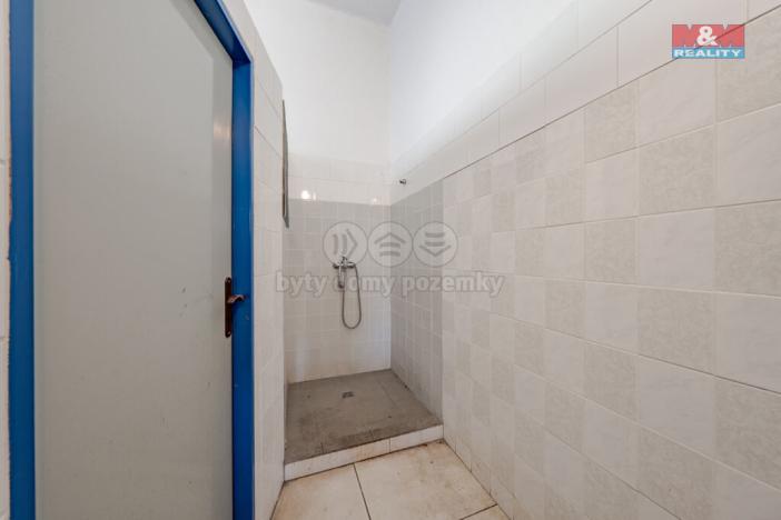 Prodej obchodního prostoru, Šarovy, 400 m2