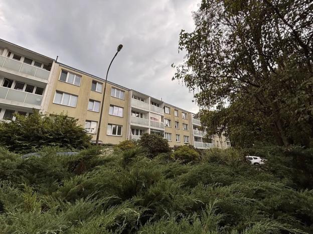 Prodej bytu 2+1, Liberec, Školní, 48 m2