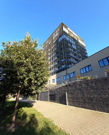 Pronájem garážového stání, Praha - Žižkov, Malešická, 13 m2