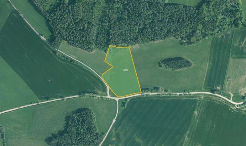 Prodej louky, Kuřimany, 10066 m2