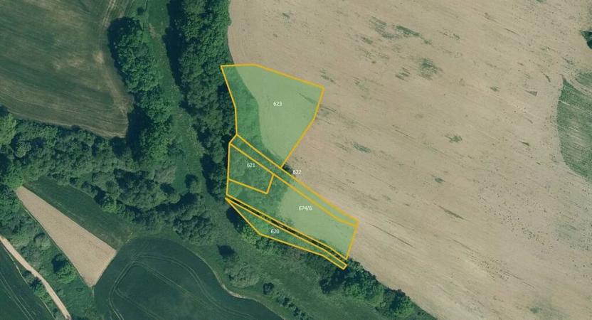 Prodej pole, Chanovice, 36157 m2