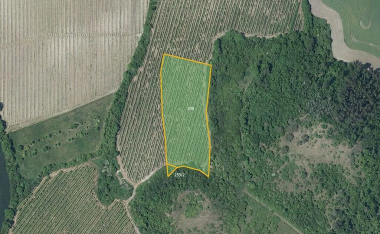 Prodej sadu/vinice, Děčany, 10567 m2