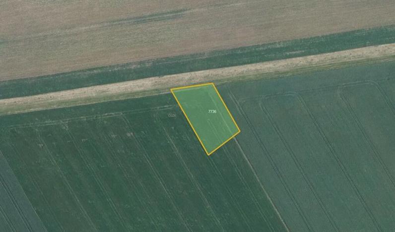 Prodej pole, Prštice, 10704 m2