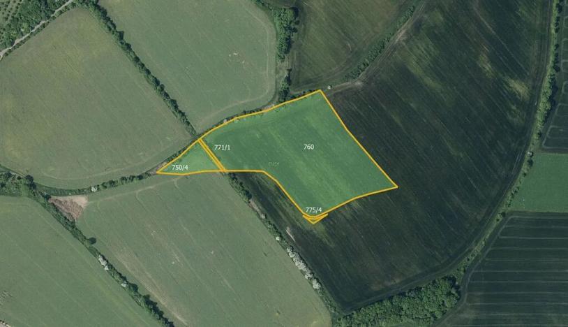 Prodej pole, Třebenice, 57996 m2