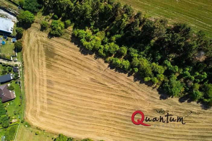 Prodej pozemku pro bydlení, Brandýsek, Nad Kovárnou, 16339 m2