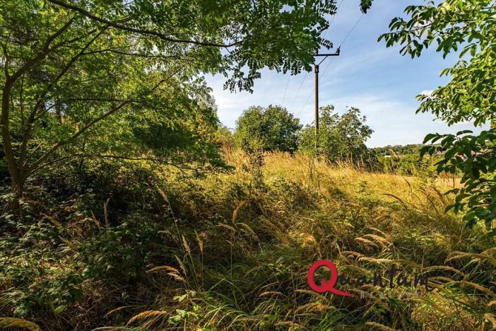 Prodej pozemku pro bydlení, Brandýsek, Nad Kovárnou, 16339 m2