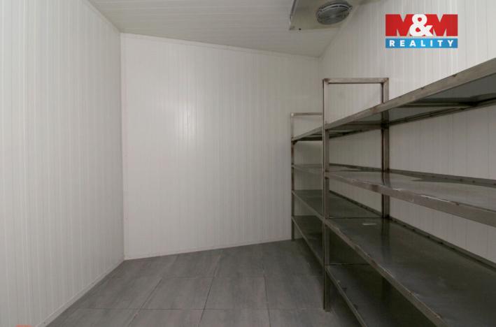 Pronájem obchodního prostoru, Sezemice, Havlíčkova, 50 m2