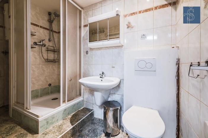 Prodej bytu 1+kk, Praha - Nusle, Na Jezerce, 35 m2