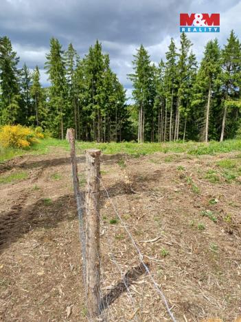 Prodej lesa, Hrazany - Klisinec, 9634 m2
