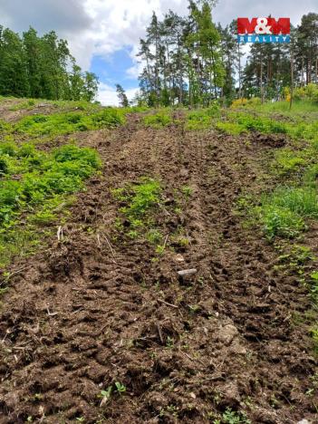 Prodej lesa, Hrazany - Klisinec, 9634 m2