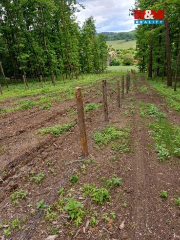 Prodej lesa, Hrazany - Klisinec, 9634 m2