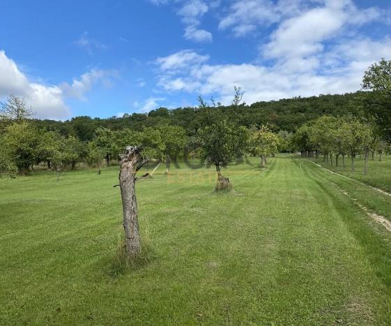 Prodej chaty, Moravany, 24 m2