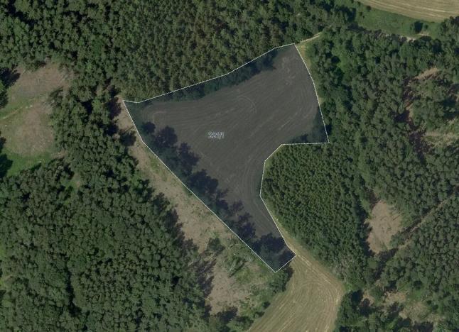 Prodej louky, Velké Opatovice, 16109 m2