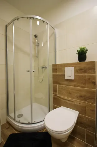 Prodej bytu 1+1, Brno, Francouzská, 36 m2