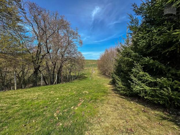 Prodej rodinného domu, Moravský Krumlov, 194 m2