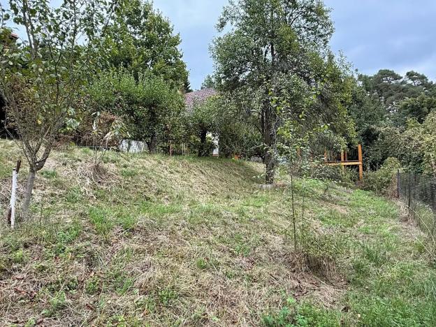 Prodej chaty, Nespeky, 50 m2