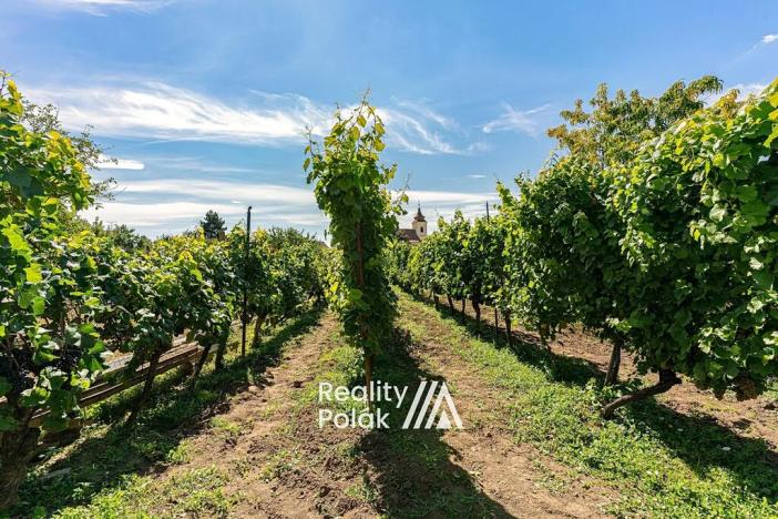 Prodej rodinného domu, Bulhary, 134 m2