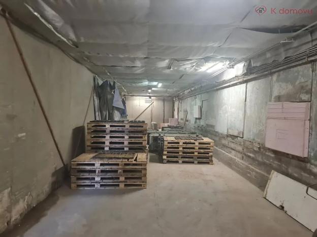 Prodej výrobních prostor, Radslavice, 3300 m2