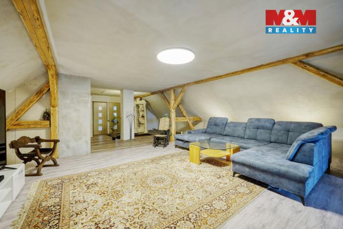 Prodej rodinného domu, Bor - Vysočany, 316 m2