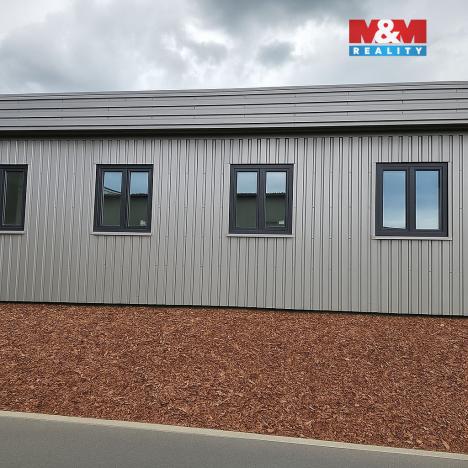 Pronájem kanceláře, Praha - Malešice, Průmyslová, 48 m2