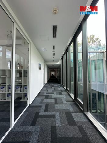 Pronájem kanceláře, Brno, Trnitá, 171 m2