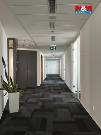 Pronájem kanceláře, Brno, Trnitá, 171 m2