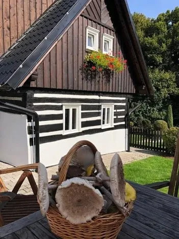 Prodej chalupy, Kobyly, 160 m2